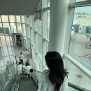 공공용 78 | 중국 VPN 추천, 속도 빠르고 안전한 ExpressVPN 사용 후기! 상하이 베이징 여행 필수 준비물