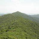 인제09 Daum카페