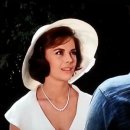 초원의 빛 이미지