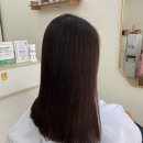더레아살롱