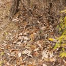 오가낭뜰근린공원4동 이미지