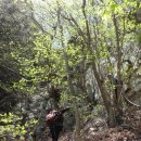 알프스산장 이미지