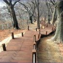 법성포 숲쟁이공원 이미지