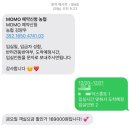 서울 근교 가평 애견 동반 [모모 글램핑] 신상 감성 스파 카라반 추천 후기