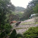 창덕암 - 1297 | 창덕암