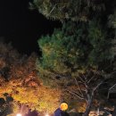 강원도 인제💜 산과 별과 불멍, 그리고 &#39;내린천글램핑&#39; 10월의 기록.