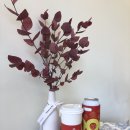 우주라이크커피(아산순천향대점) 이미지