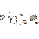 솔솔하시