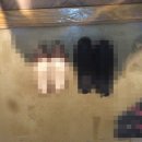 아시아드나이트 이미지