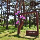 송호관광지 이미지