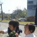 온숲어린이집 이미지