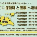 시보건소 이미지