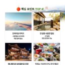 신세계관광여행사 - 사천시 대밭담1길 22 | 신세계관광여행사