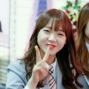 보영 Daum카페