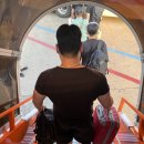 보목동포구카페 | 너무 좋아 - “노도고등어회” “건강과성박물관” “더클리프카페” “구두미포구” “토평해뜨는집”
