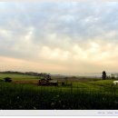 새벽목장 이미지