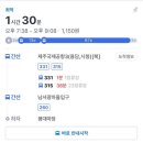 [제주 동부 숙소] 제주 제주시 숙소 펜션 후기 내돈내산 천년비자 비자림