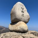 영축산 Daum카페