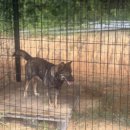 대정동물병원 이미지