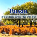 화명 지하철역 | 화명생태공원 댑싸리 피크닉 부산 갈대 억새 단풍 명소 11월말 풍경은?