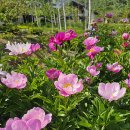 상동읍 꼴두바우공원 이미지