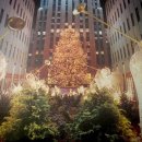 부산중앙여자중학교 이미지