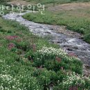 지양당한의원 | 수원시 팔달구 한의원 지양당한의원 위치 오는길 후기