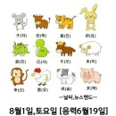 8월1일 토요일 이미지