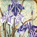 꿈의 향연-2007 이미지