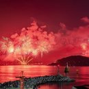 물고기 미포 이미지