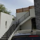 핑코애견 이미지