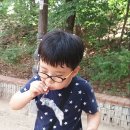 수곡초교 병설유치원 이미지