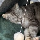 보매기길 이미지