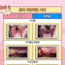 조이치과 이미지
