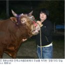 속리축산 노컷뉴스