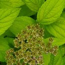 무주읍105 이미지