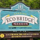 제주도 여행코스 동쪽 가볼만한 곳 제주 에코랜드 테마파크 후기