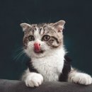 이마트24 평택비전도서관점 이미지