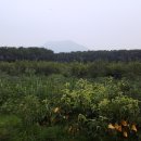 풍요농장 이미지