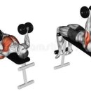 프레스집 이미지