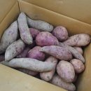 도창농장 이미지