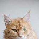 수락동물병원 이미지