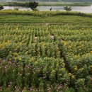 율곡면사무소 이미지