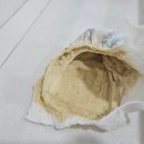 의료법인양진의료재단 성모아이들의원 네이버블로그