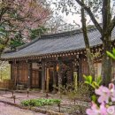 호텔정관루별관(콘도별장) 이미지