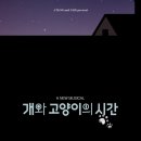 개와고양이 이미지