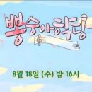 (주)고알레