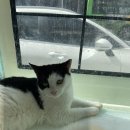 주주동물종합병원 이미지