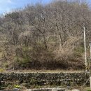 더시즌펜션 | 담양 벚꽃구경 가족여행 독채 풀빌라펜션 더공감펜션 방문후기