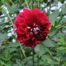 뜨락농원 이미지